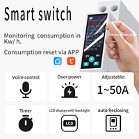 Smart Energy Meter Switch with Tuya APP, WiFi/Zigbee Dual Mode, Programmable Timer Relay & Power Monitoring LCD Display