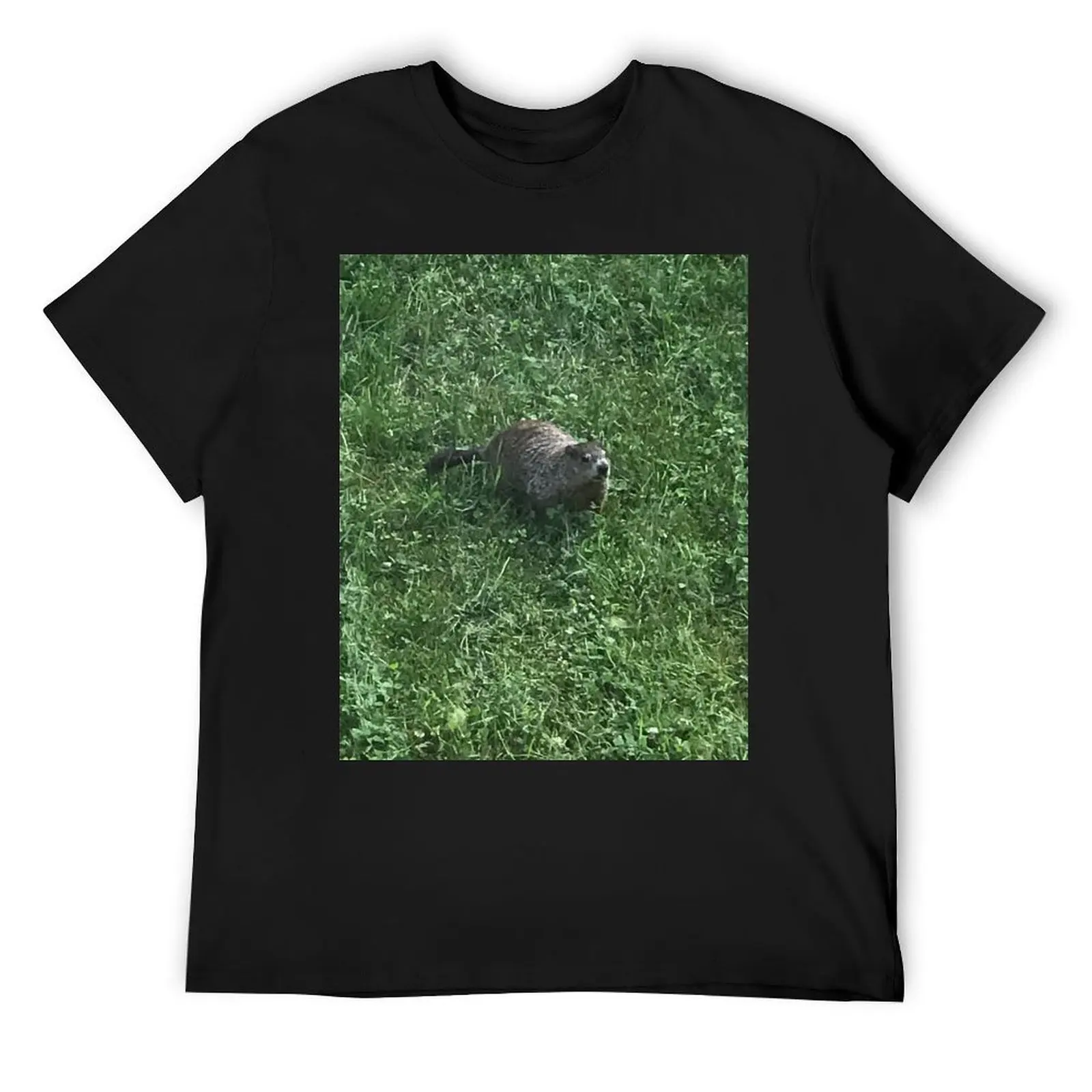 

The curious wild woodchuck that chucks wood! T-Shirt sublime anime figures anime clothes funny t shirts men