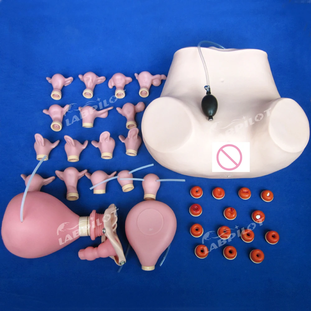 Gynecological Examination Model, Obstetric Skills Operation Training,Medical Teaching Internal Diagnostic Uterine Palpation