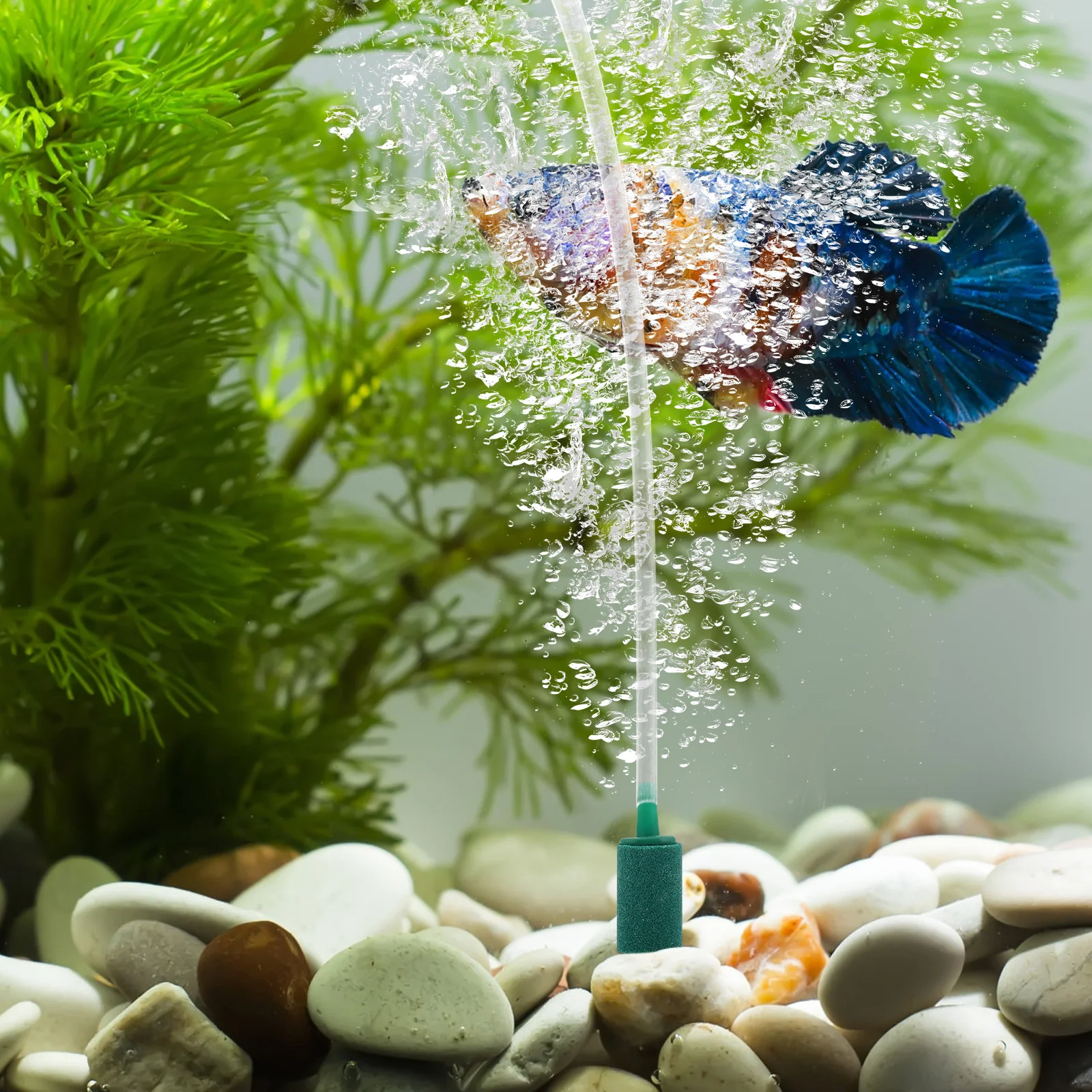 

10 Pcs Decor Bubbler Fish Airstones Airstones Oxygen Aerator Accessories Hydroponic Air Pump Aquarium Air Stones Pond