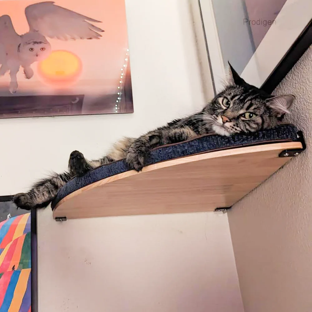 Wall Mounted Cat Climbing Shelves Cat Hammock with Ladder and Scratching Post Wooden Platform Pet Furniture for Kitten Playing