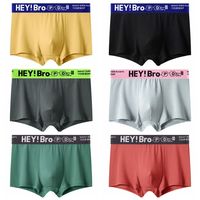 4PCS Letter Printed Men's Cotton Panties Mid Waist Thin Seamless Underwear for Men Briefs Underpants Male Shorts Boxer Gifts