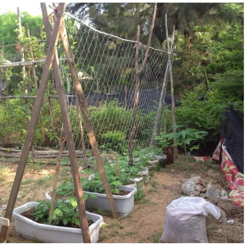 Horticultural Plant Climbing Net, Polyester Woven Net, Suitable for Other Climbing Plants Such As Tomatoes, Beans, Grapes, Etc
