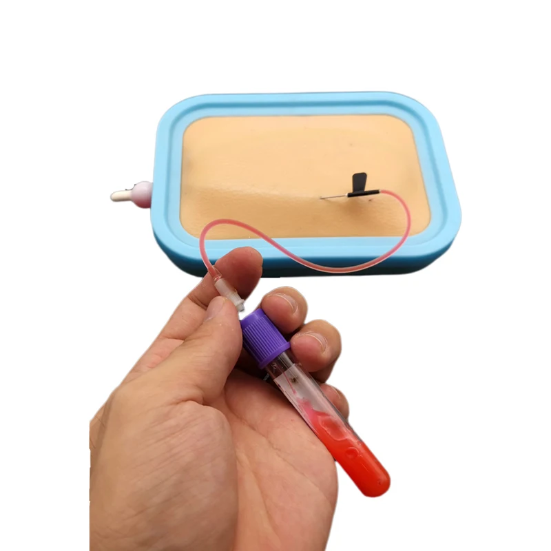 Medical Nursing Blood Collection Intravenous Injection Practice Model Intradermal Skin Test Skin Vascular Model