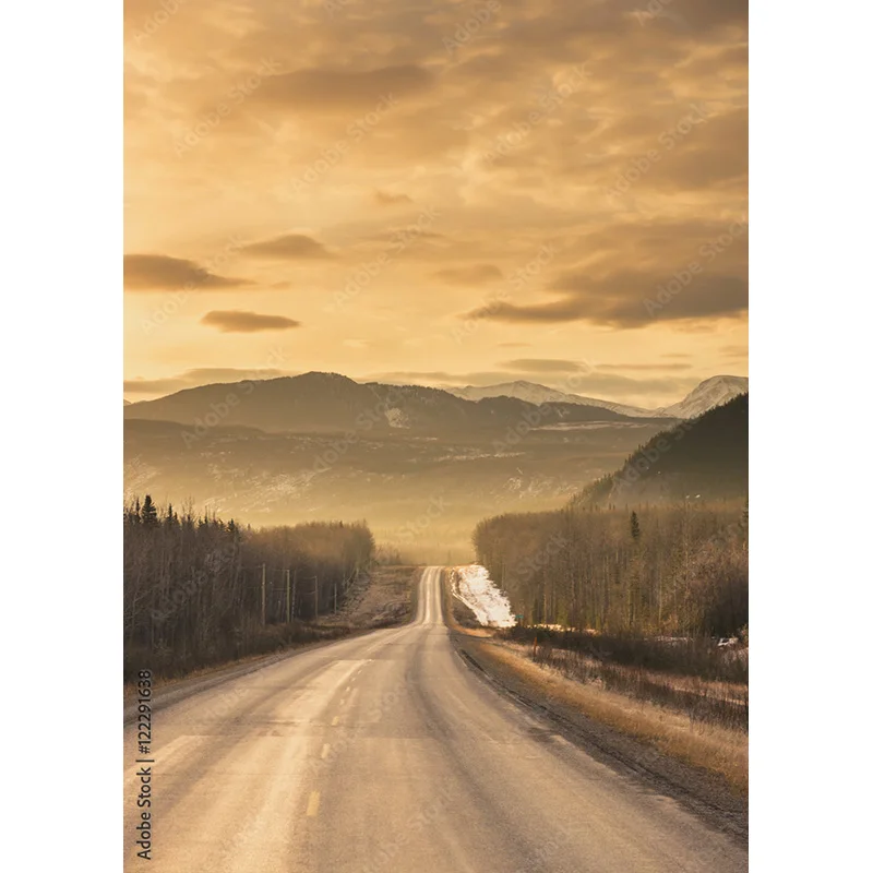 Highway Nature Scenery Photography Backdrops Travel Landscape Photo Backgrounds Studio Props  211228 GLL-08