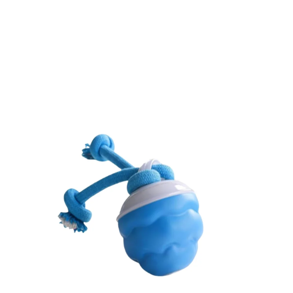 

Interactive Dog Toys Ball with Motion Activated USB Rechargeable Wicked Ball for Large Medium Small Puppy Dogs, 300mAh Battery