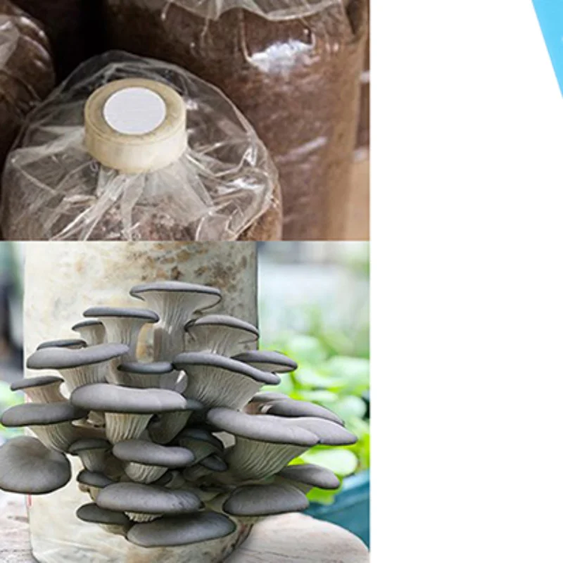 48Pcs/sheet 20mm Synthetic Filter Paper Sticker For Under Wide Mouth Jar Lid Mushroom Cultivation Supplies