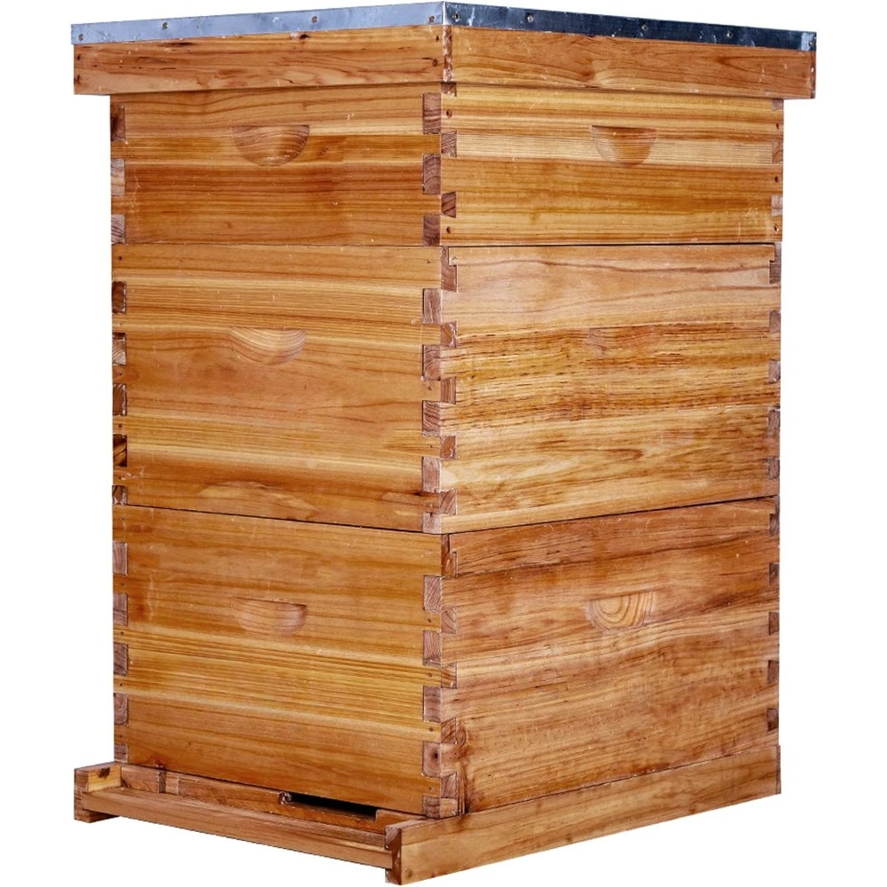 10 Frame Bee Hive Coated with 100% Beeswax includes Beehive Frames and Waxed Foundations (2 Deep Boxes & 1 Medium Box)