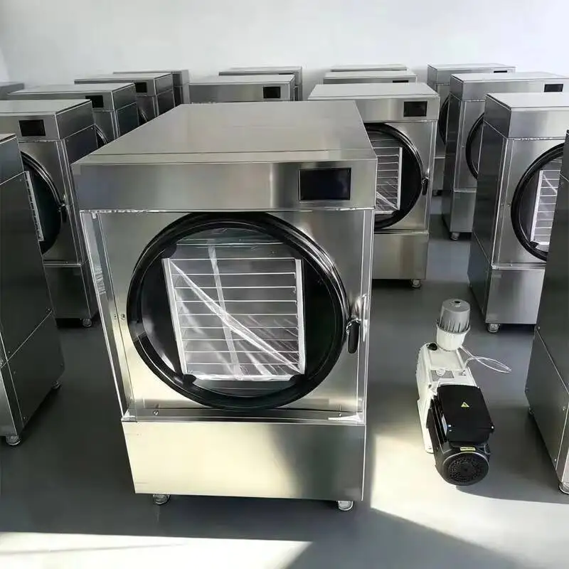 

4 Trays Household Freeze Dryer With Stainless Steel Rack Easy To Clean Vacuum Freeze Dryer For Traditional Chinese