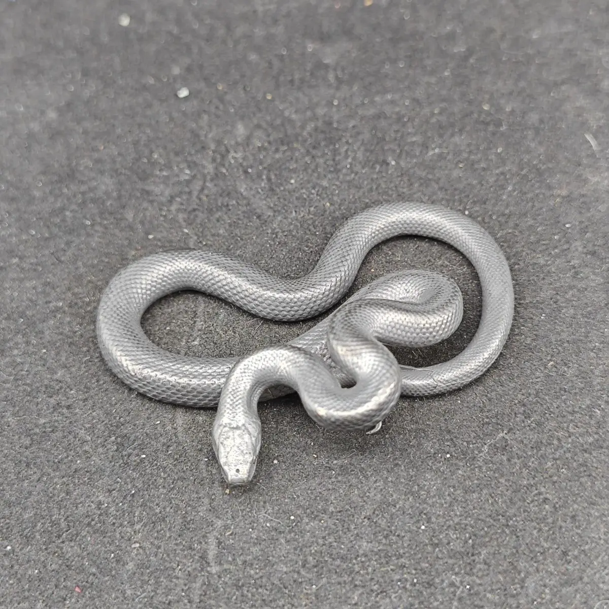 

Antiqued Brass Mini Snake Ornament Novelty Reptile Figurine for Desktop Decor, Collectible Home Ornament Gift