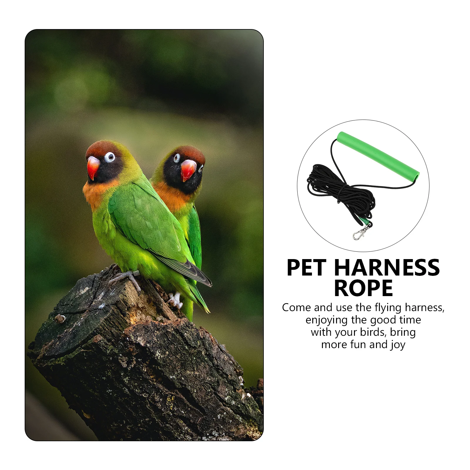 

Bird Traction Rope Parrot Flying Harness for Pet Bird Outdoor Flying Training Lightweight Harness Leash Breathable