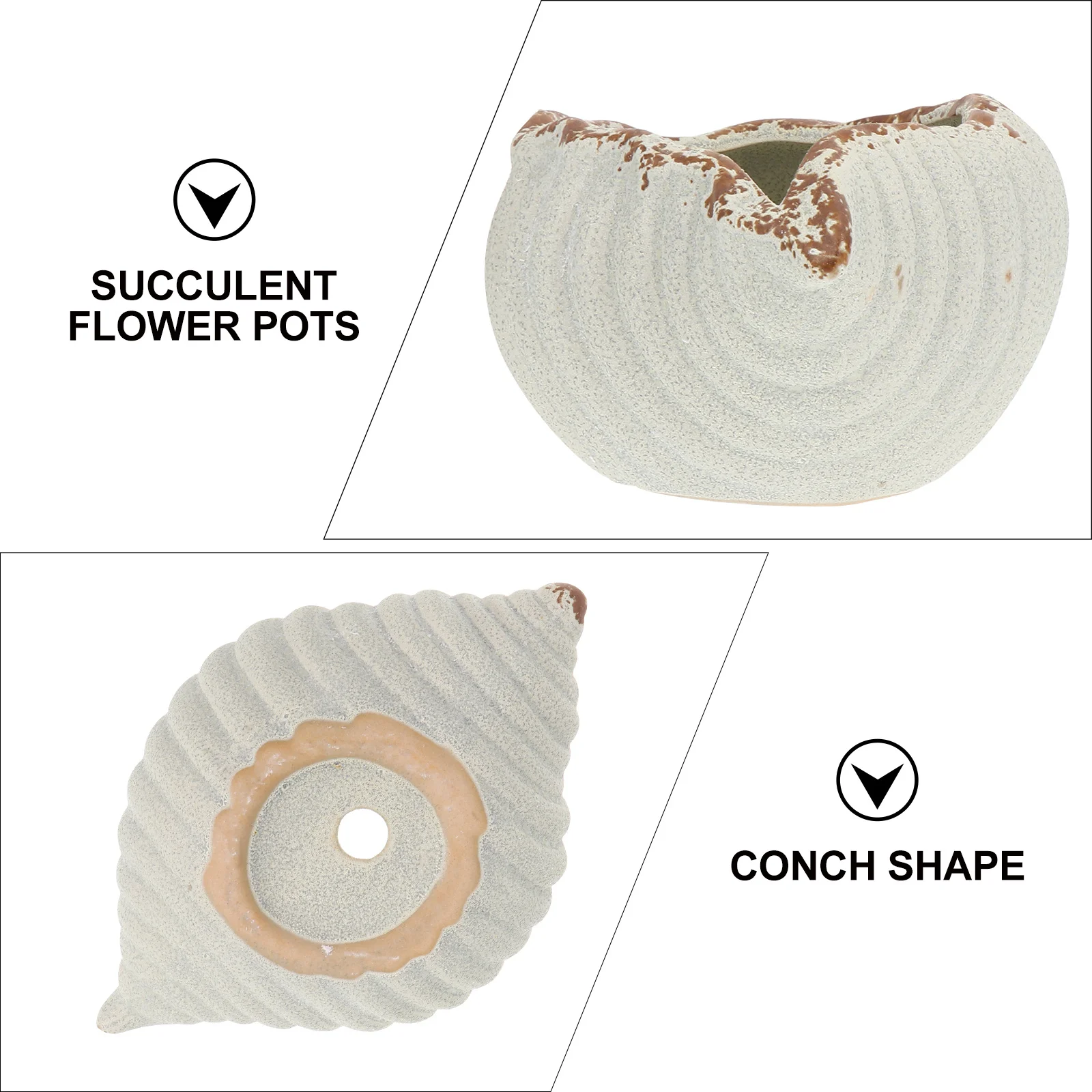 

3Pcs Ceramic Succulent Planter Imitation Conch Flower Pot Decorative Indoor Outdoor Home Office Garden Planting Container