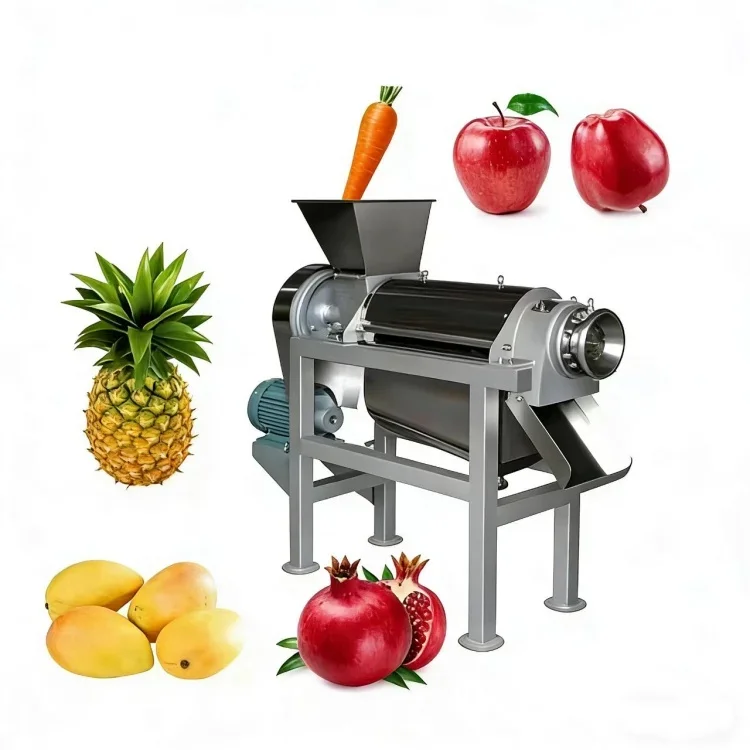 High Power Motor Fruit & Vegetable Juicer Machine for Extracting Orange Grape Ginger in Processing Plants