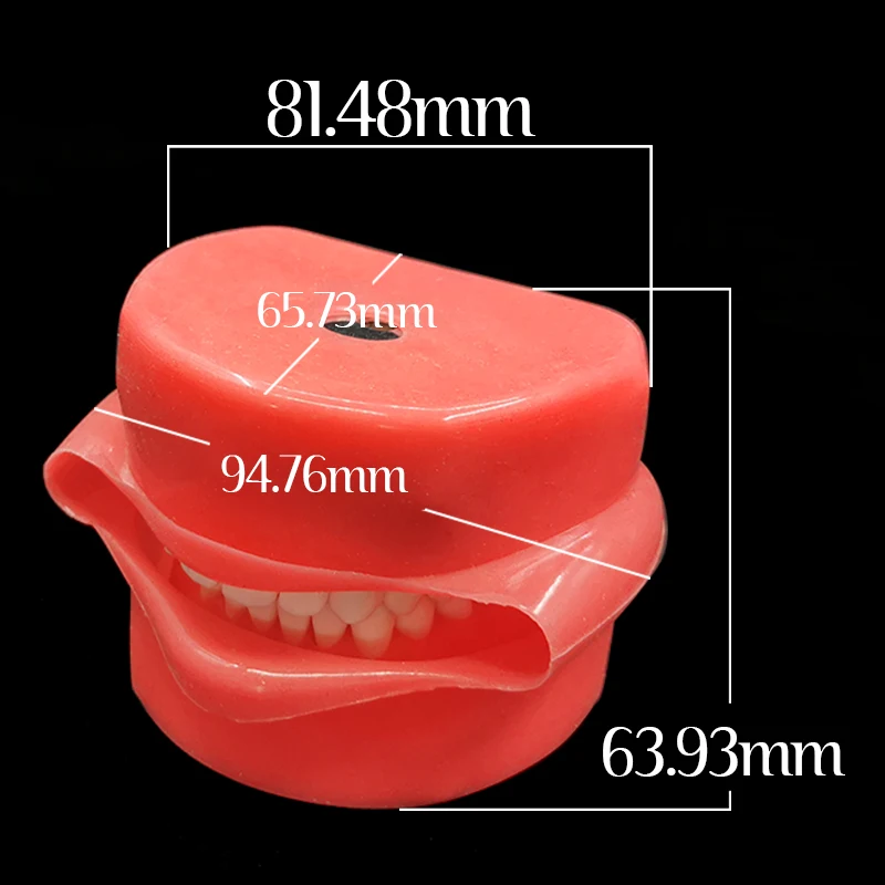 Dental 28 sztuk miękka guma i twarz policzek Model zębów Dental standardowy Model praktyka ząb symulacja Dental Typodont wkłady modele