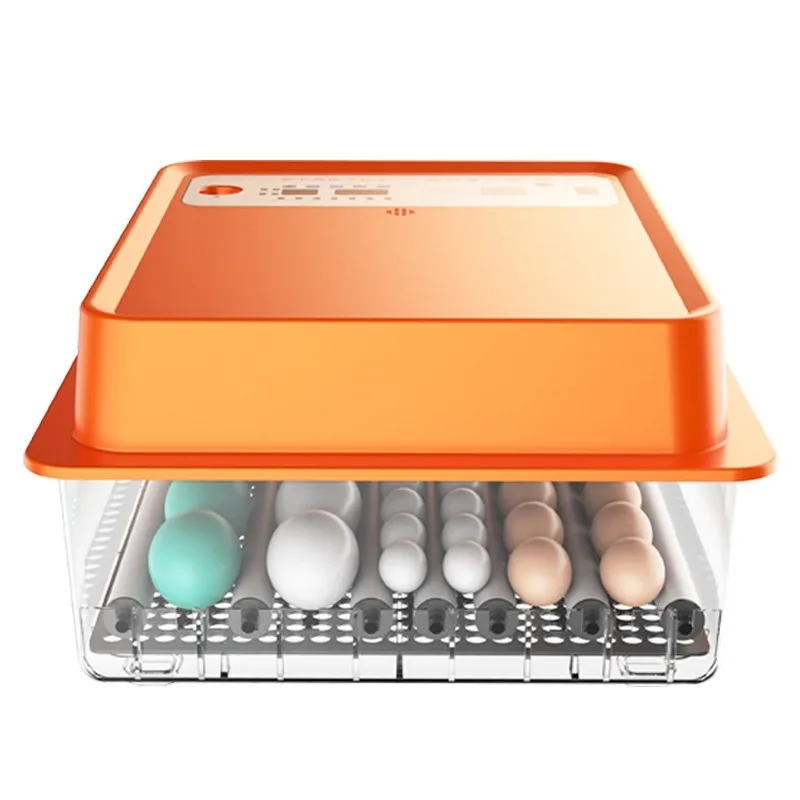

Plastic Chicken & Quail Egg Incubator 36-Egg Capacity Dual Power Supply Automatic Egg Turning 90% Hatching Rate New
