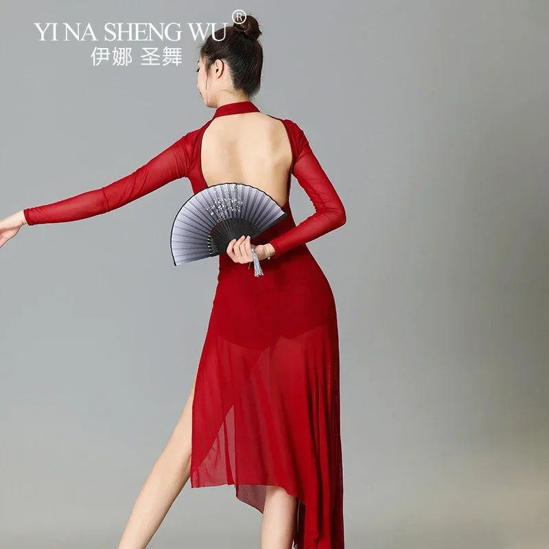 المرأة الكلاسيكية ملابس رقص شبكة طويلة الأكمام غير النظامية هيم عالية الشق لممارسة الرقص الشعبي اللاتينية ملابس الرقص الأنيقة