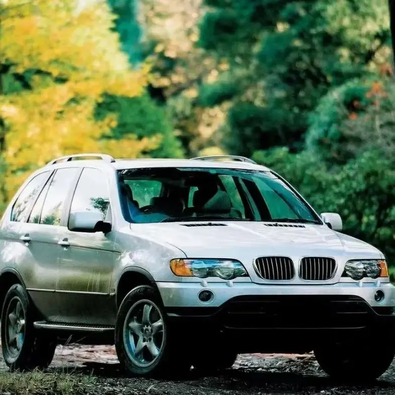 

Glossy M Color & Matte Black & Carbon Fiber Front Kidney Grilles For BMW E53 X5 1999-2006 Double Line Racing Style