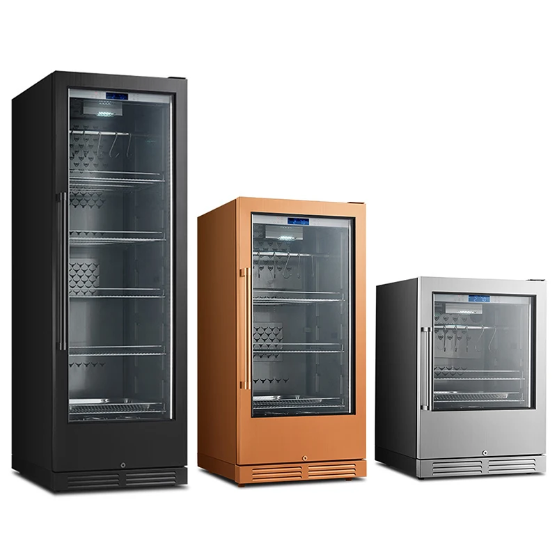 Household Dry Aging Cabinet Refrigerator Meat Dry Age Fridge for Beef