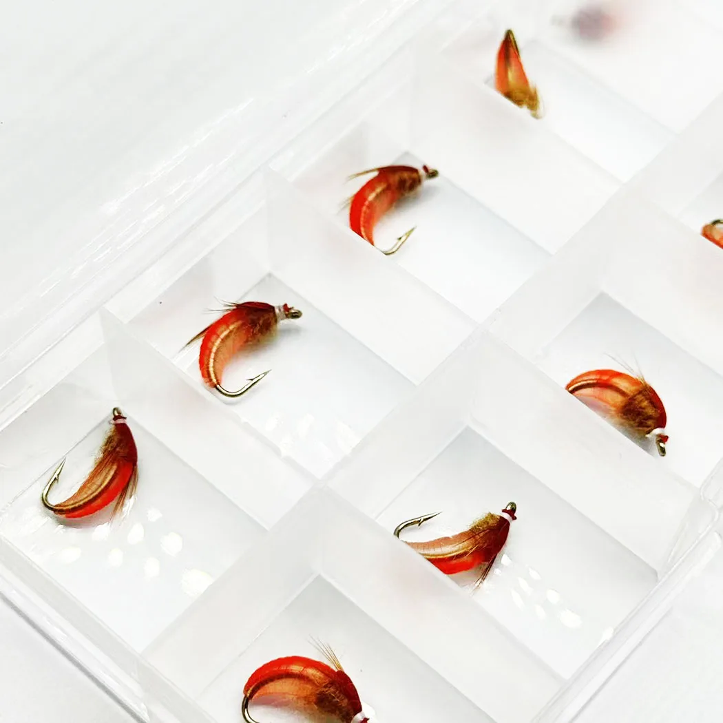 Fliegenfischen-Köder 10 Stück (mit Fliegenbox) Scud Nymph Red Bait Künstlicher Trockenköder für Forellen- und Barschangeln – Detail 9