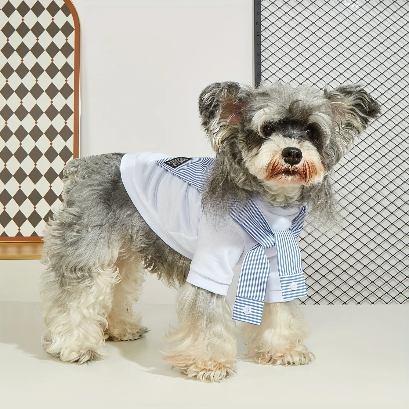 Thumbnail 3 - #14 Best Pet Apparels to Buy In 2026