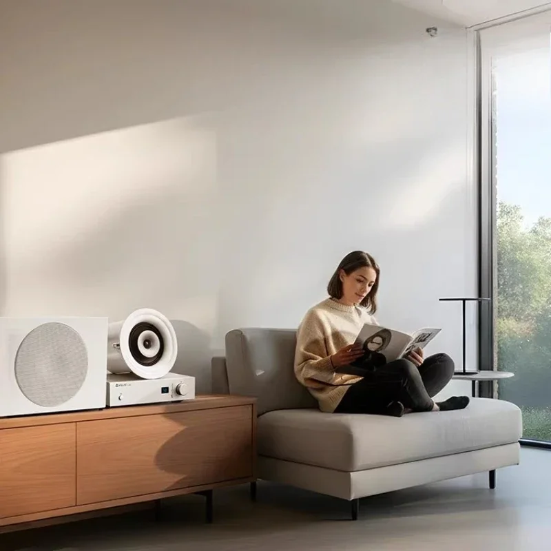 Ceiling Audio Embedded Speakers Home Living Room Surround Home Cinema Ceiling Speakers