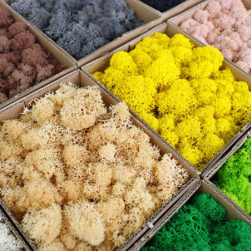 الحياة الأبدية موس Crafts بها بنفسك الحرف العشب النباتات الخضراء الاصطناعية غرفة المنزل حديقة ديكور المشهد الصغير العشب وهمية 20/40/100 جرام ديكورا