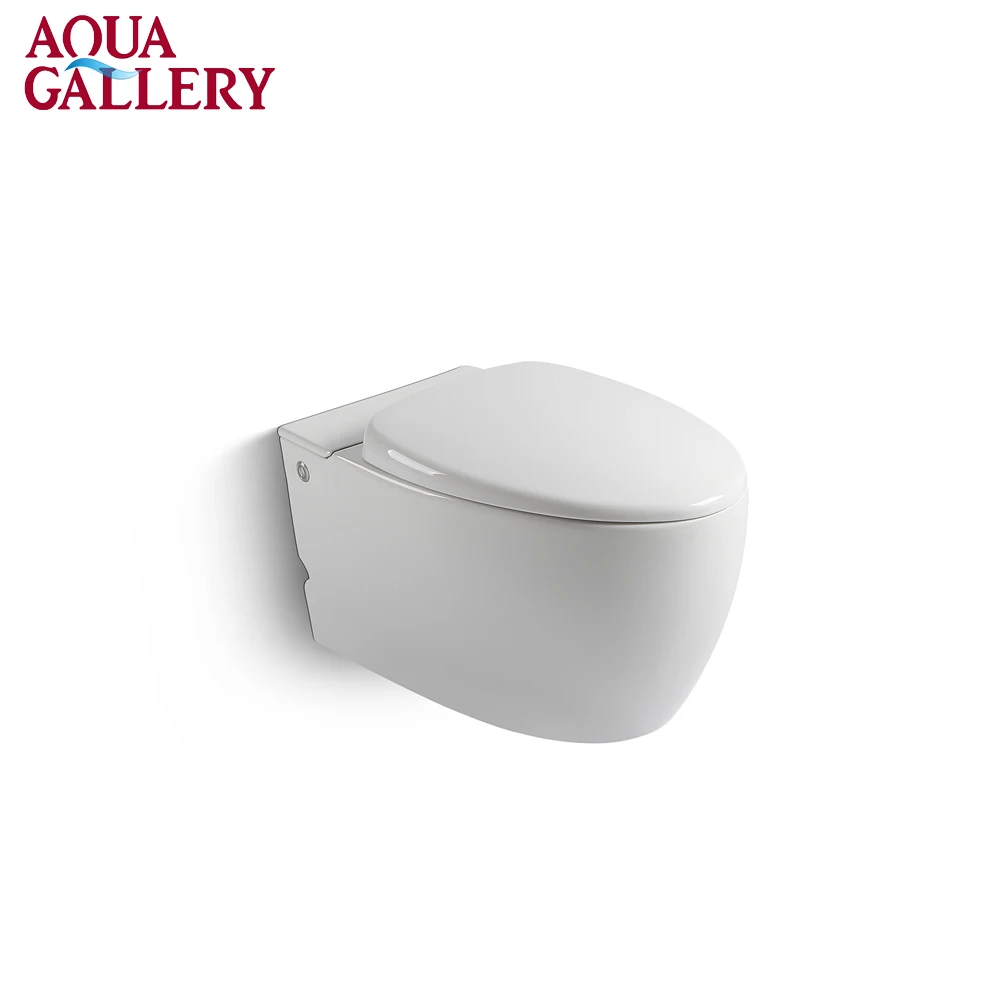 

Concealed Cistern Wall Hung Children Toilet