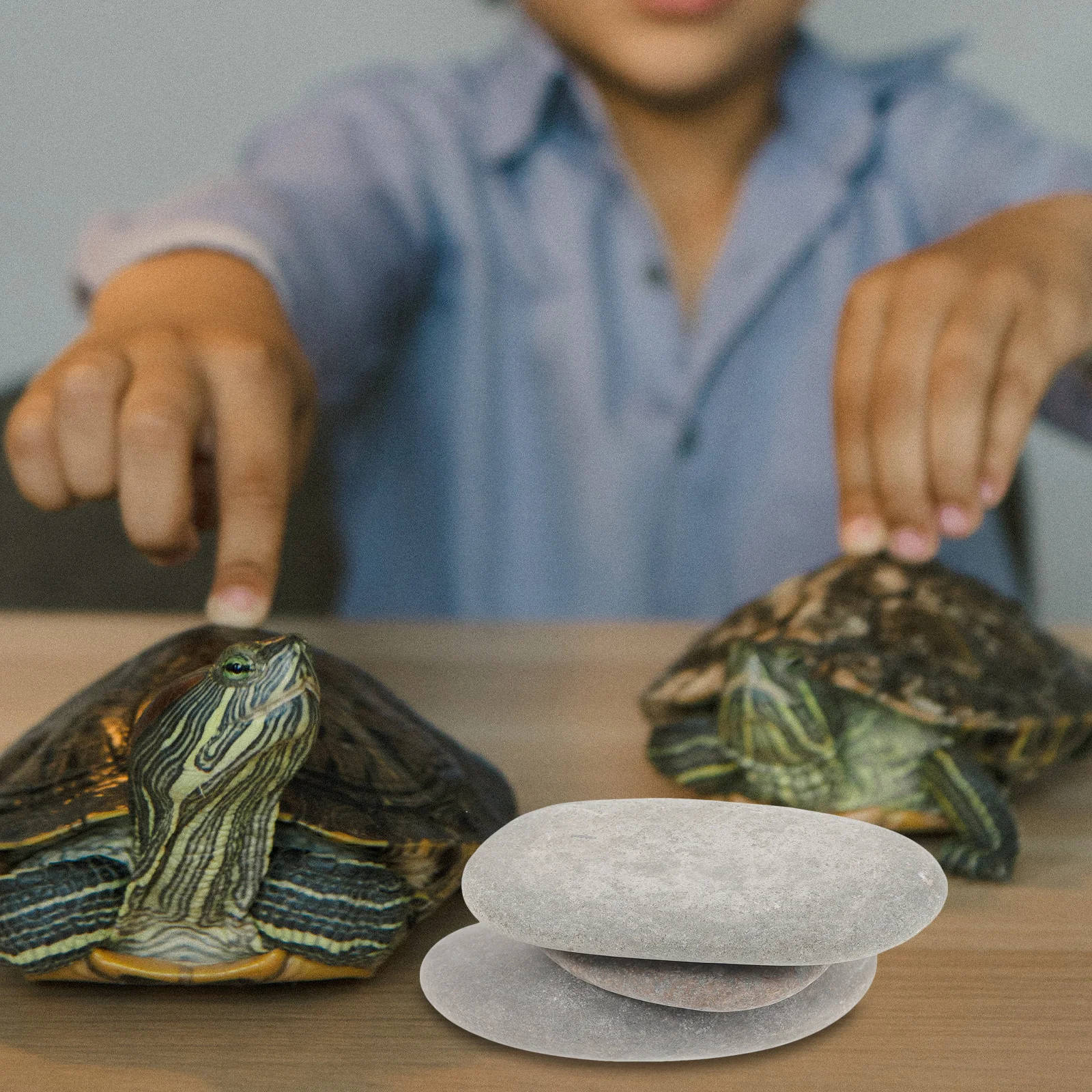 

3pcs Turtle Basking Stones Natural Stone Reptile Basking Platform For Aquarium Fish Tank Decor Turtle Tank Accessories Reptile