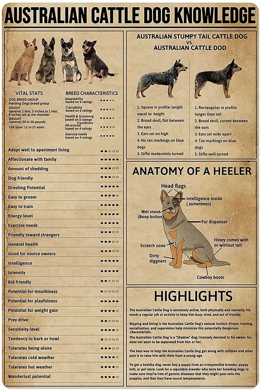 Australian Cattle Dog Knowledge Metal Tin Sign,Educational Pet Shop Wall Decoration, Learn About Pets,Caring for Pets