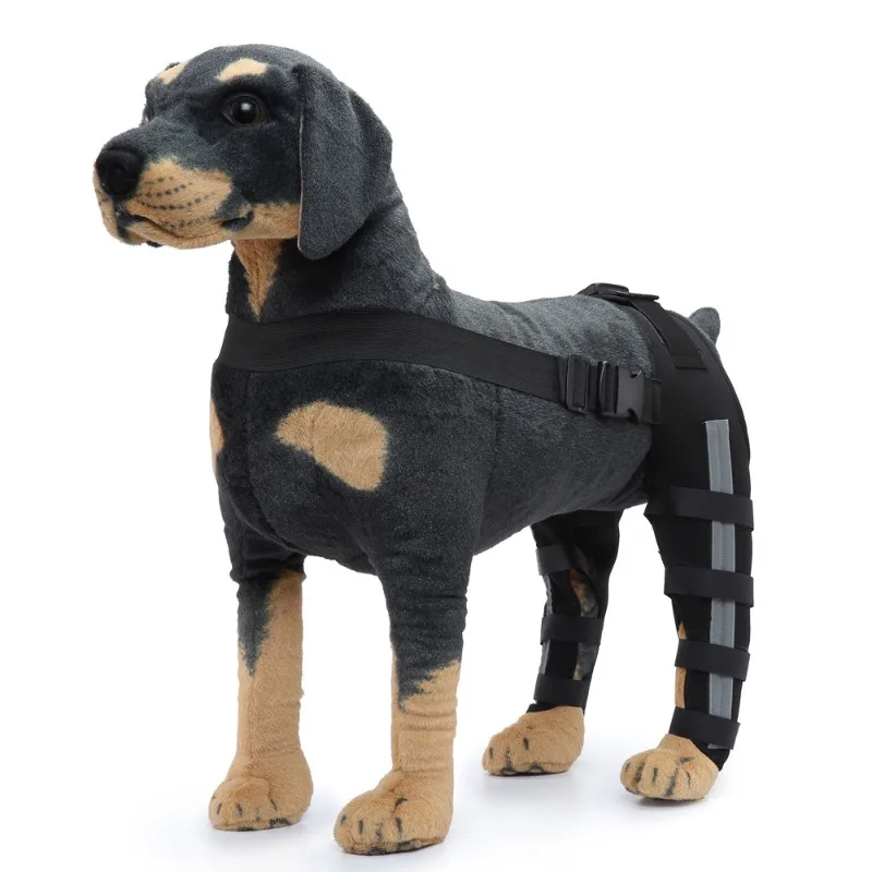 Thumbnail 4 - #6 Trending Pet Agility Equipment Right Now