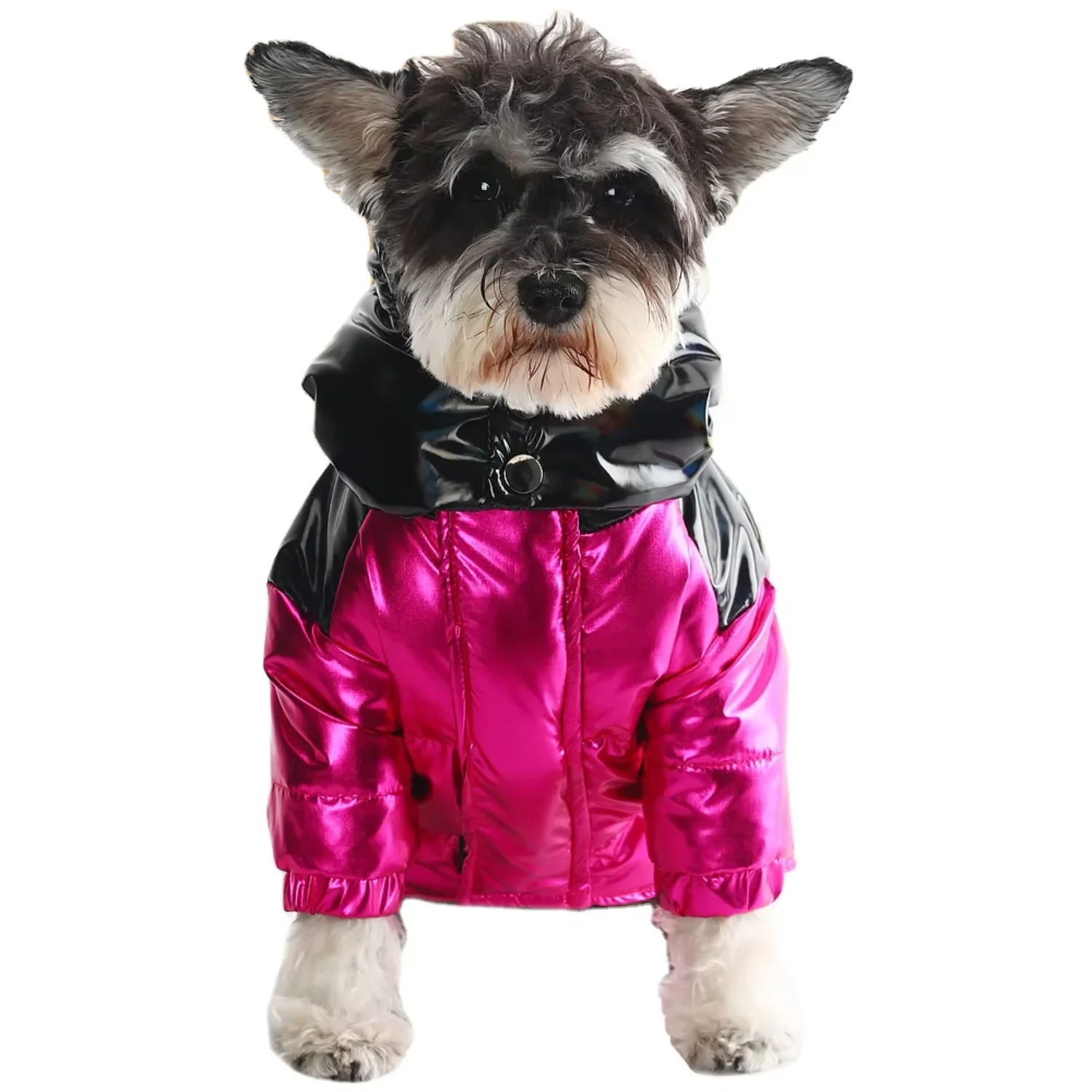 

Pet Dog Down Jacket Dog Winter Jacket Luxury Clothes Opp Classic Cartoon High Autumn Winter