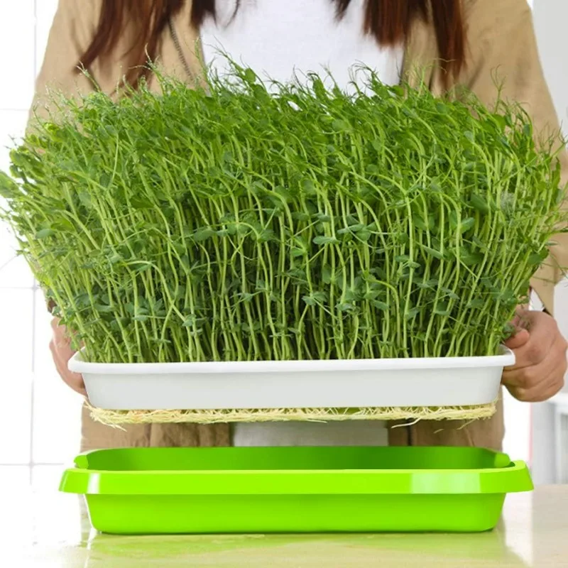 Microgreens Sprout Tray Germination Tray Double Layer Sprout Hydroponics Tray Plate Nursery Pots Soilless Cultivation Planting - view 2