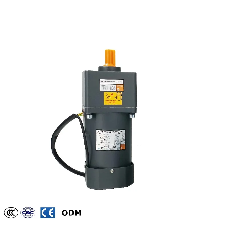 25W 40W 60w 90w 120w 180W 200w 250W AC 220V Induction Gear Motor With Speed Control  for Conveyor