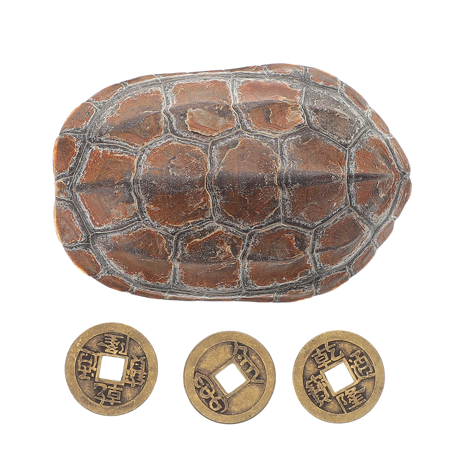 

1 Set Chinese Fortune Divination Coins Shell Turtle Shell Craft Handpiece Retro Cultural Decor For Home Office Desktop Living