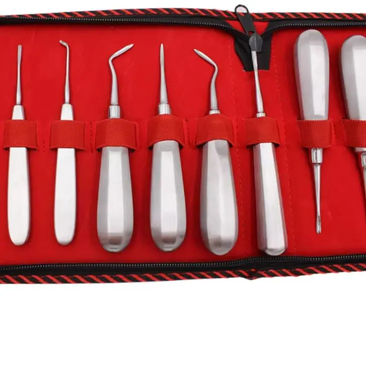 

Professional 13Pcs Minimally Invasive Dental Extraction Kit Stainless Steel Straight & Curved Oral Care Instruments
