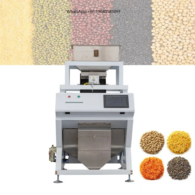 Hot Selling Machine Multifunctional Color Sorter Fruit Grain Sorting Machine 800-1500kg/h Capacity 95% Accuracy Made