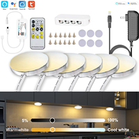 Tuya Wifi + IR Remote Control Under Cabinet LED Light  CCT Light Warm+White Double Color Temperature for Kitchen Closet Lighting