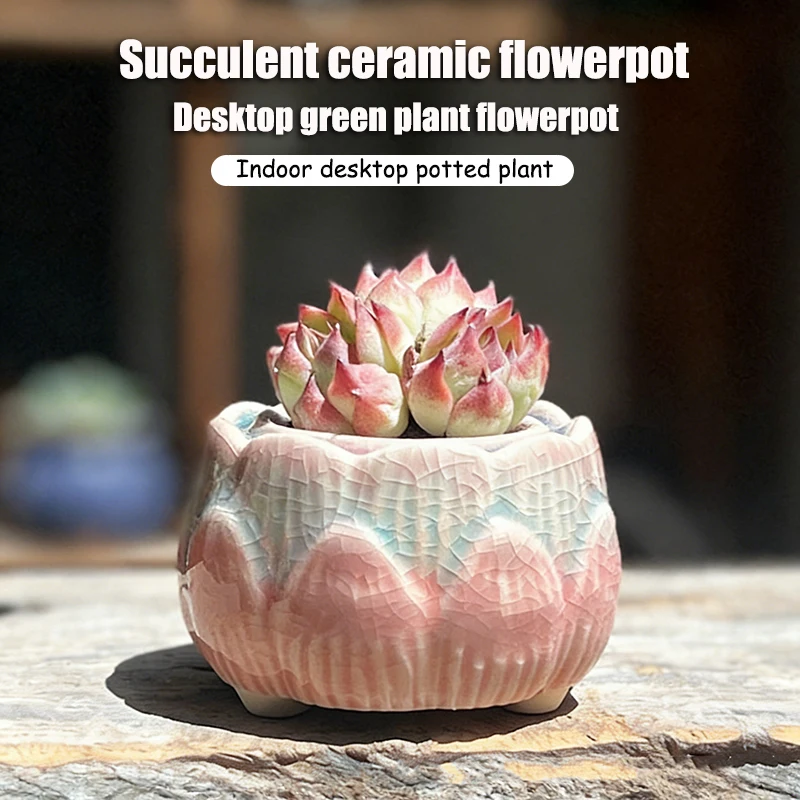 Vaso de cerâmica para suculentas em formato de lótus com gradiente, mini vaso estilo nórdico para decoração de casa e jardim, pequeno recipiente para bonsai.