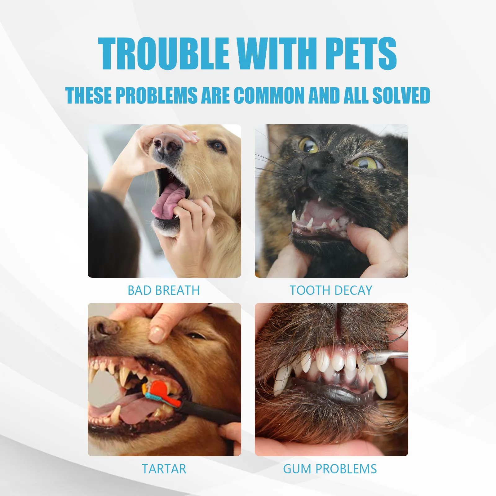 Pet Toothpaste Edible Formula Tartar Control Freshens Breath Gentle Oral Cleaning for Dogs Cat All Breeds Daily Use Improves Gum