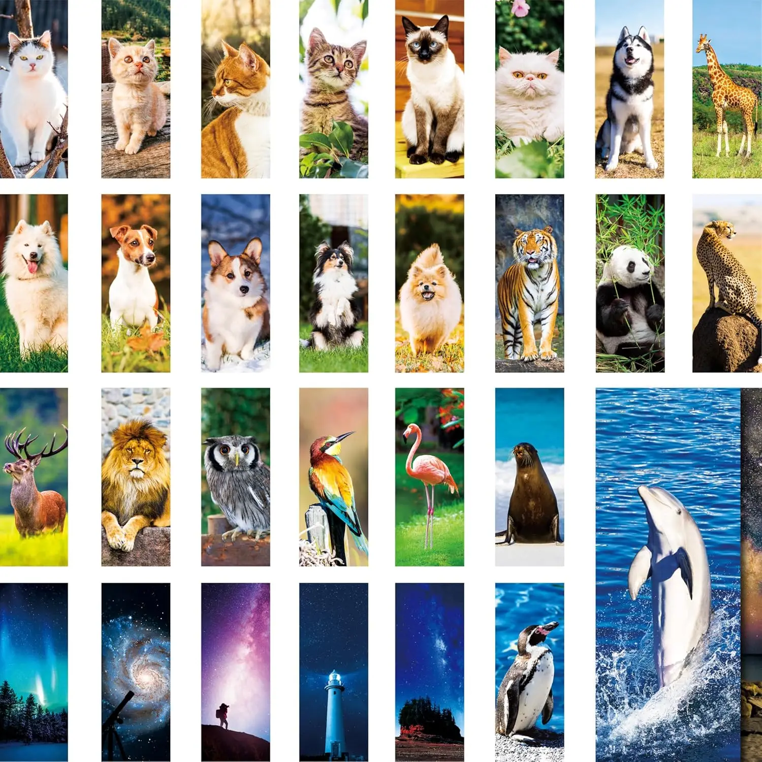 

120 PCS Animal Bookmarks with PET Film, 30 Designs Double-Sided for Kids Students Adults Book Lovers