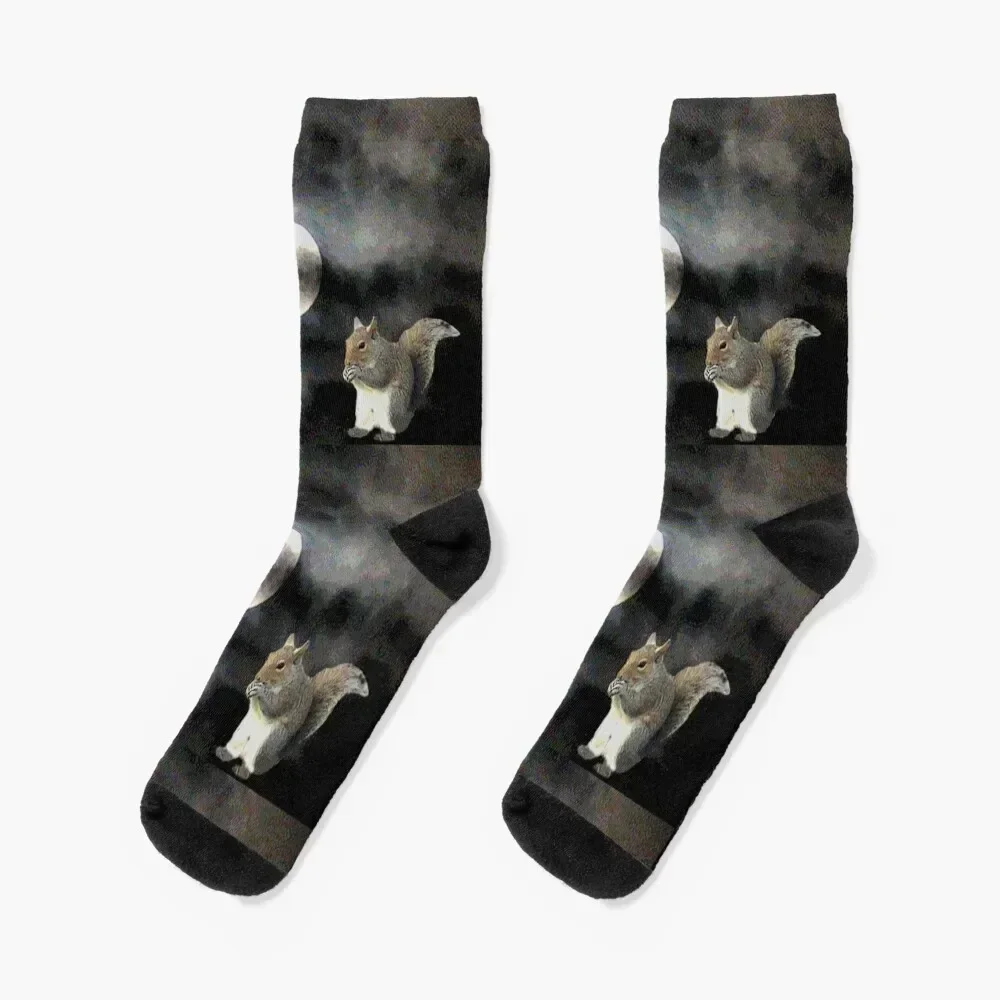 

Squirrels In Space Socks Argentina gift cool hockey Socks Woman Men's