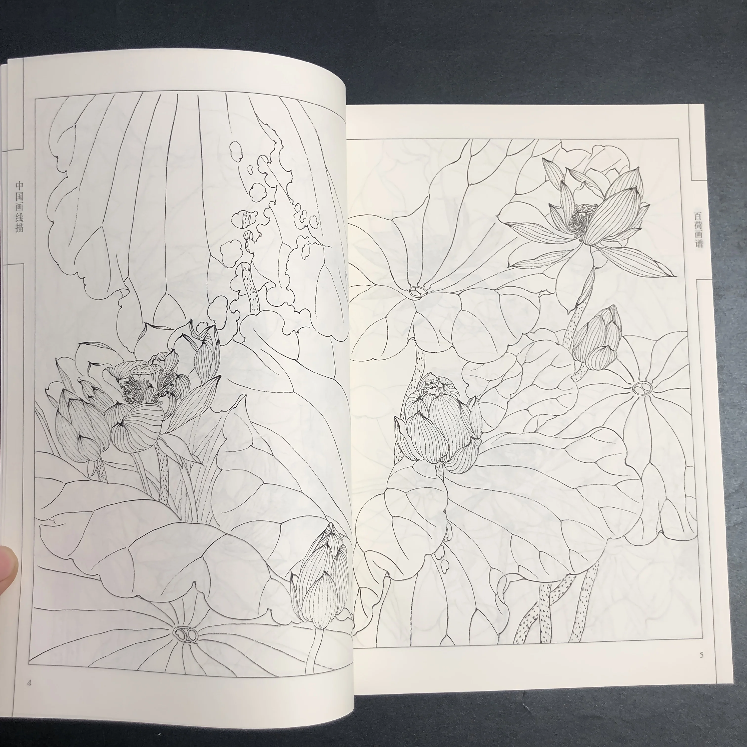 Coloring Book for Adults and Teens Featuring  with Easy and Simple Designs for Relaxation Chinese painting sketch