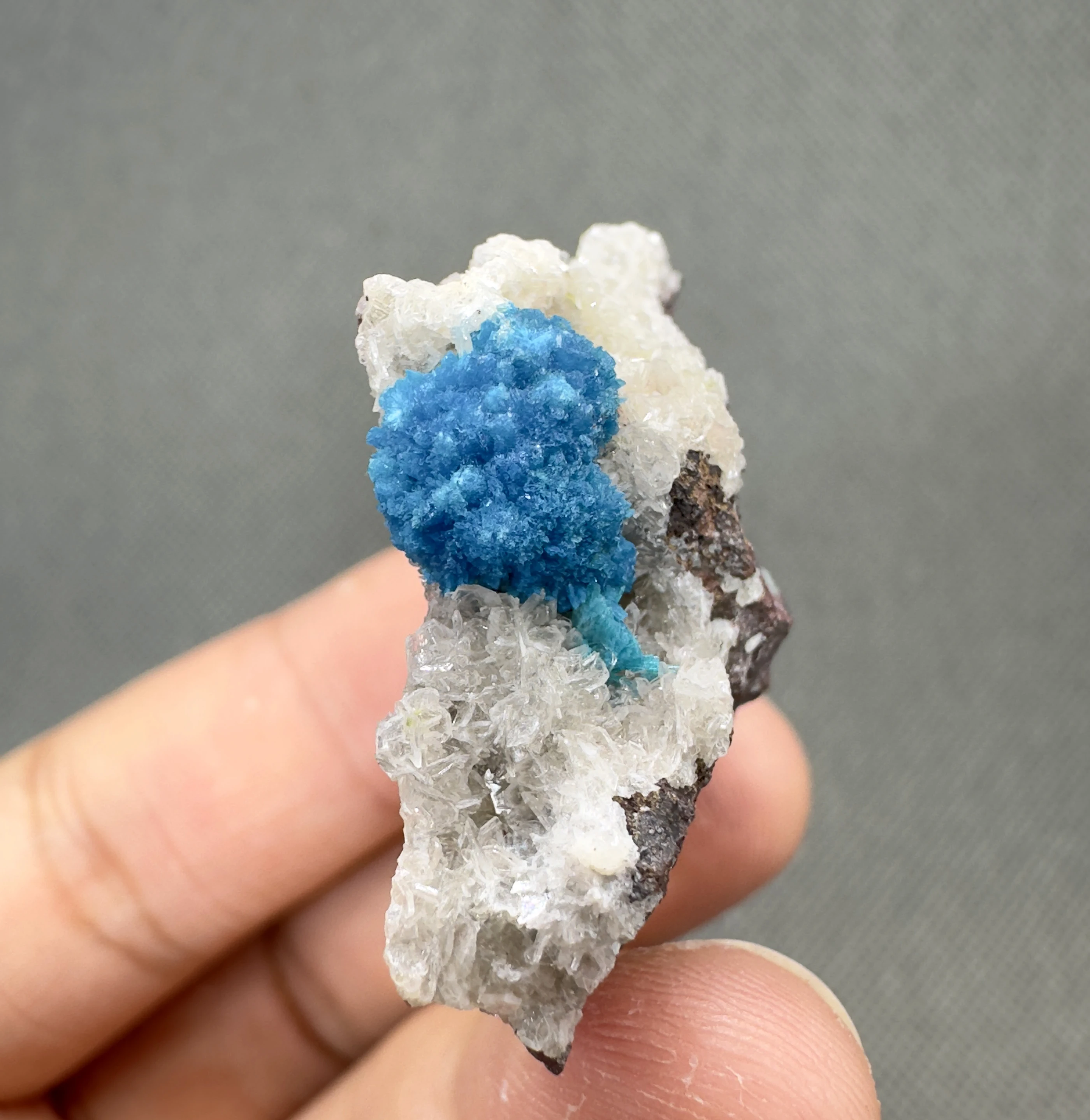 

Natural rare Cavansite mineral specimen + healing quartz crystals and stones rock gemstone