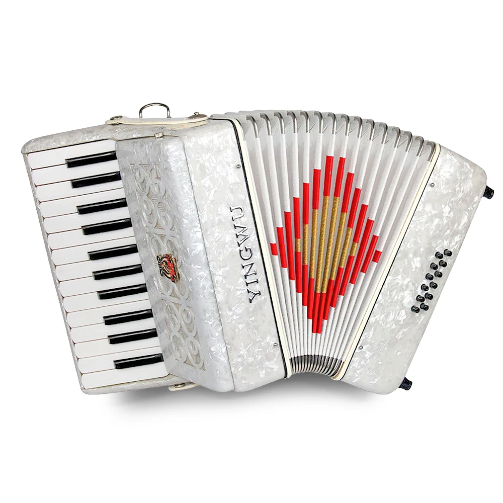 

China parrot 25 keys 12 bass diatonic keyboard accordion piano musical instrument for beginner perform