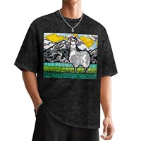 Llama and Andes T-Shirt cheap stuff boys whites aesthetic clothes plain white t shirts men