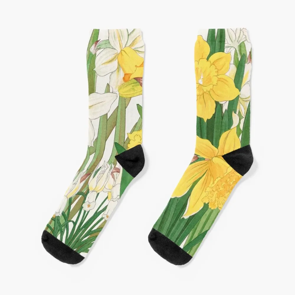 

Daffodil Flower Socks christmas stocking Climbing Argentina Men's Socks Luxury Women's