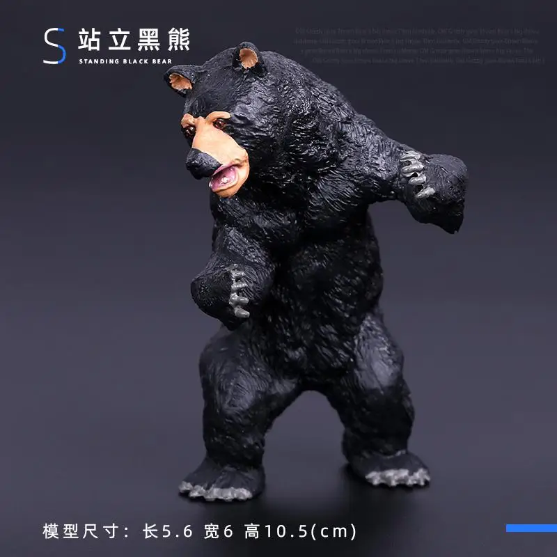 Simulatie Wilde Beeldjes Zwarte Beer Wombat Wasbeer Model Actiefiguren Bosdieren Speelgoed Woondecoratie Kinderen Onderwijs