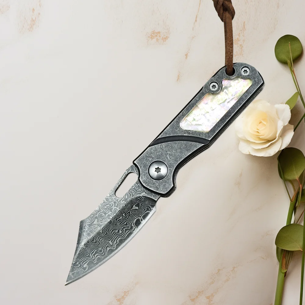 

Миниатюрный складной нож с дамасским лезвием, высокая твердость, портативный, для кемпинга, EDC, для барбекю, нож для выживания