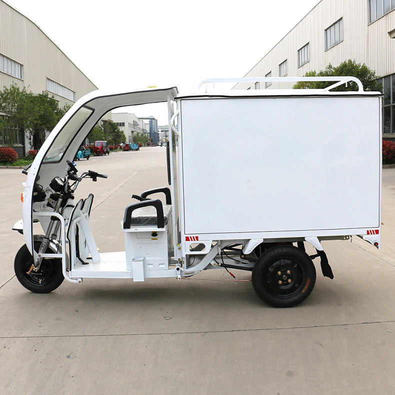 Express delivery Cargo Trike adult tricycle motorized tricycles electric tricyclescustom