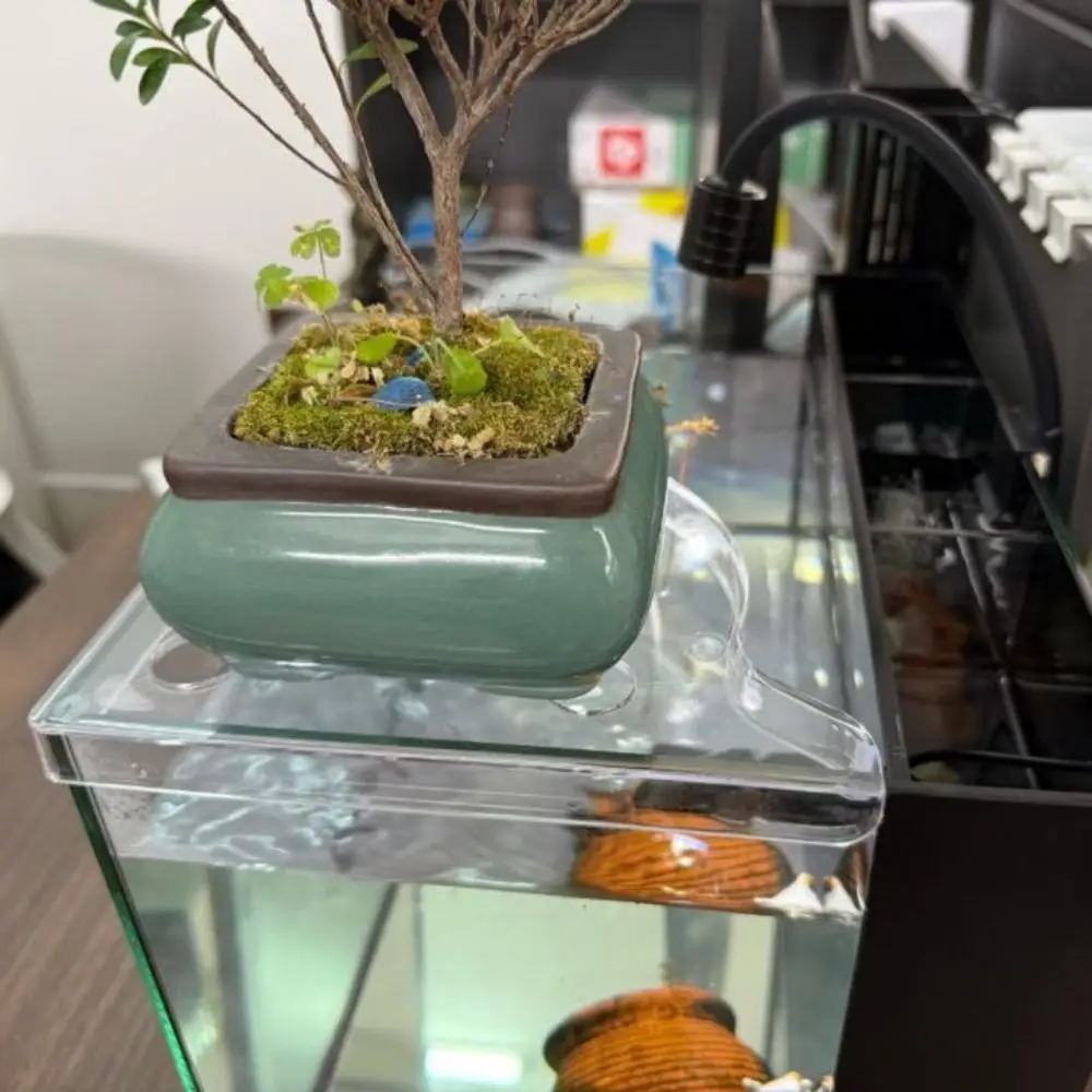 Triangle Fish Tank Corner Storage Rack Clear Easy Installation Aquarium Plant Holder Decorative Space Saving